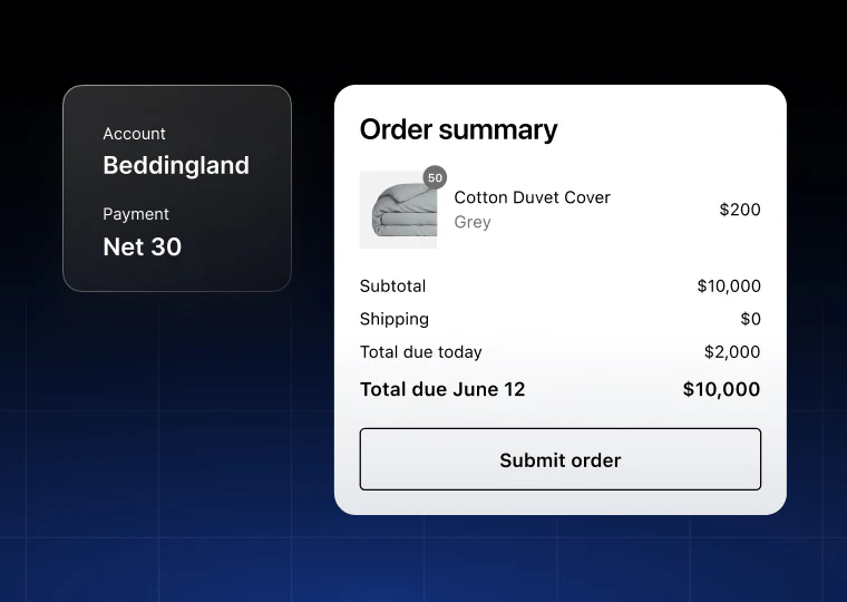 Shopify B2B - Payment and Checkout Options